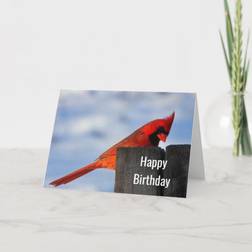 Red Cardinal on Wooden Stump Happy Birthday Card