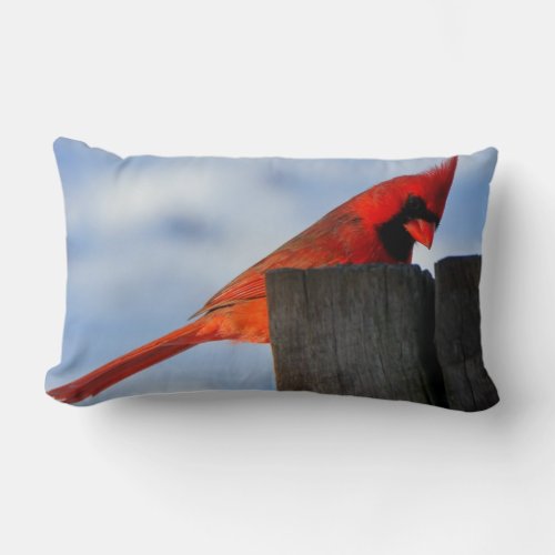 Red Cardinal on Wooden Stump Lumbar Pillow