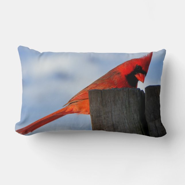Red Cardinal on Wooden Stump Lumbar Pillow (Front)