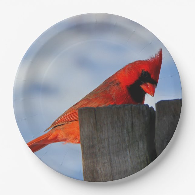 Red Cardinal on Wooden Stump Paper Plates (Front)