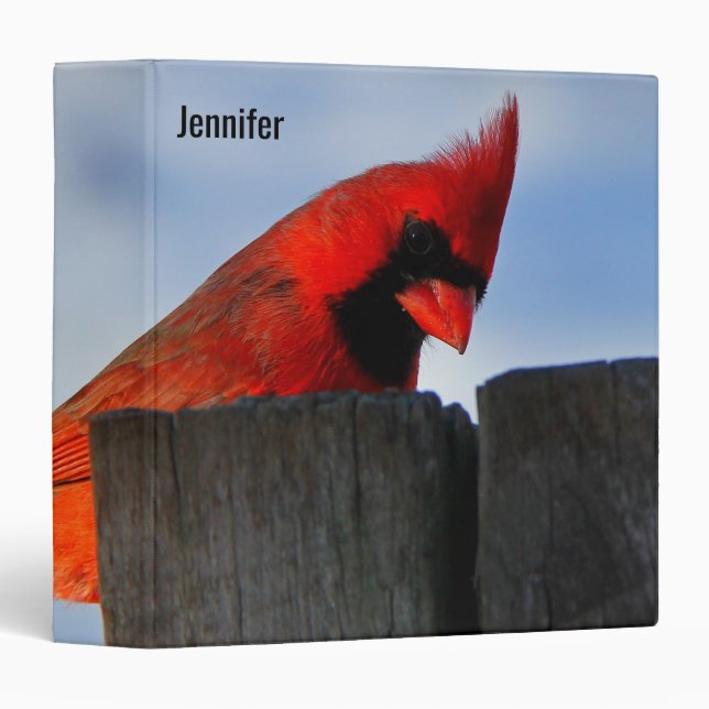 Red Cardinal on Wooden Stump Personalized Binder (Front/Spine)