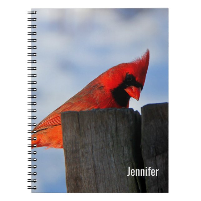 Red Cardinal on Wooden Stump Personalized Notebook (Front)