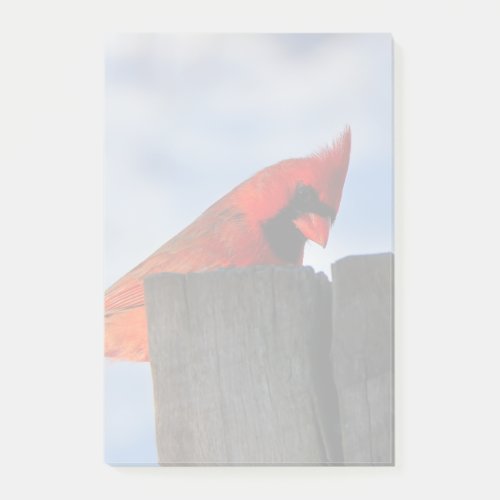 Red Cardinal on Wooden Stump Post_it Notes