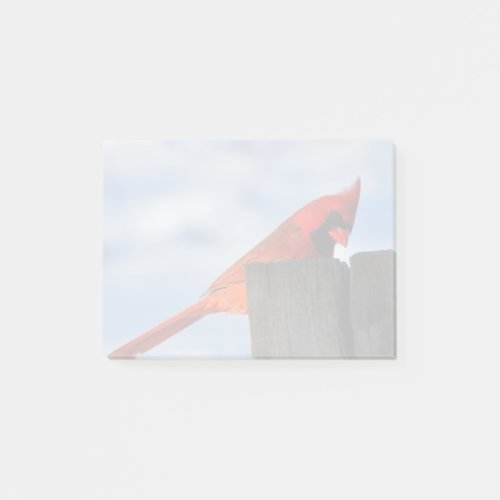 Red Cardinal on Wooden Stump Post_it Notes