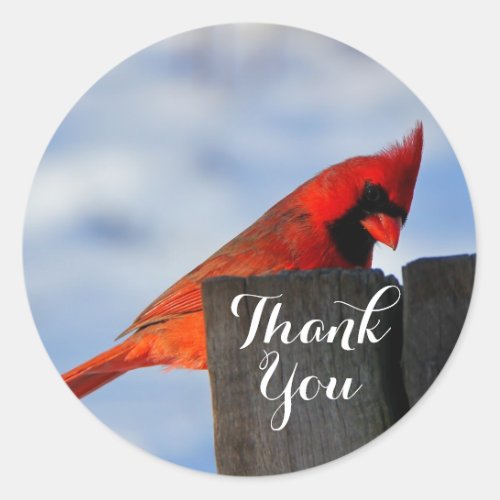 Red Cardinal on Wooden Stump Thank You Classic Round Sticker