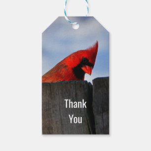 Red Cardinal on Wooden Stump Thank You Gift Tags
