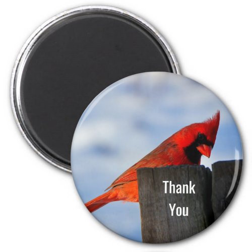 Red Cardinal on Wooden Stump Thank You Magnet