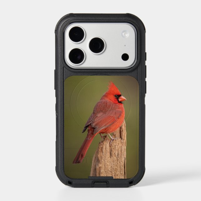 Red Cardinal  Otterbox iPhone Case (Back)