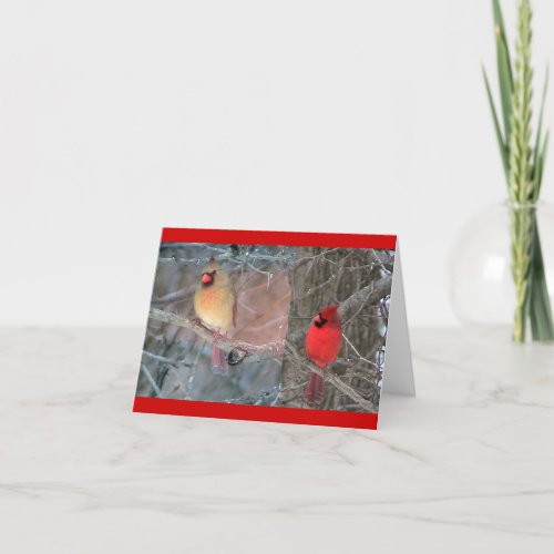 Red Cardinal Pair Card