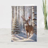 Red Cardinal Perched On A Deer's Antlers