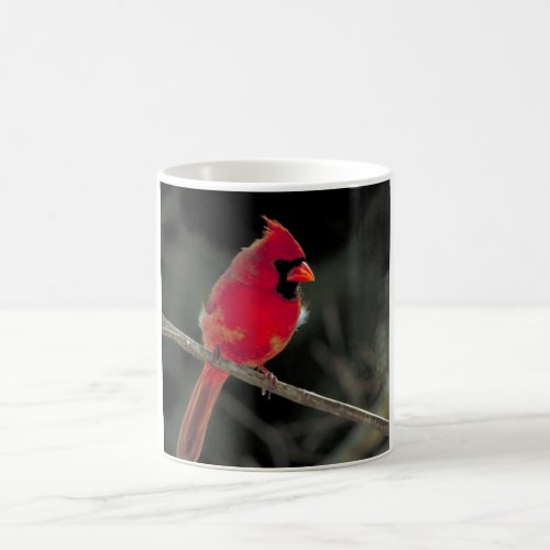 Red Cardinal Perched on a Tree Branch Coffee Mug
