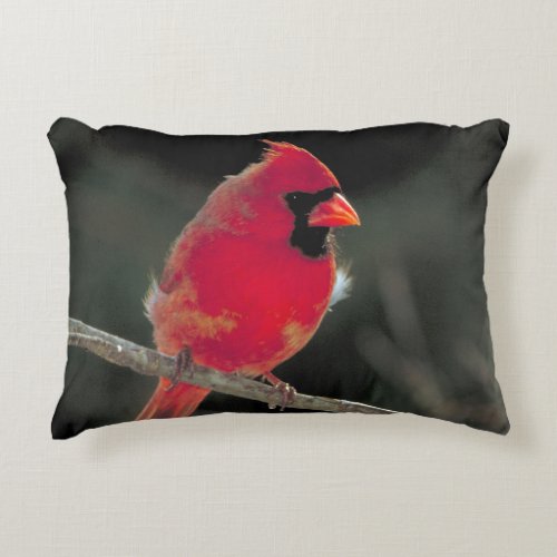Red Cardinal Perched on a Tree Branch Decorative Pillow
