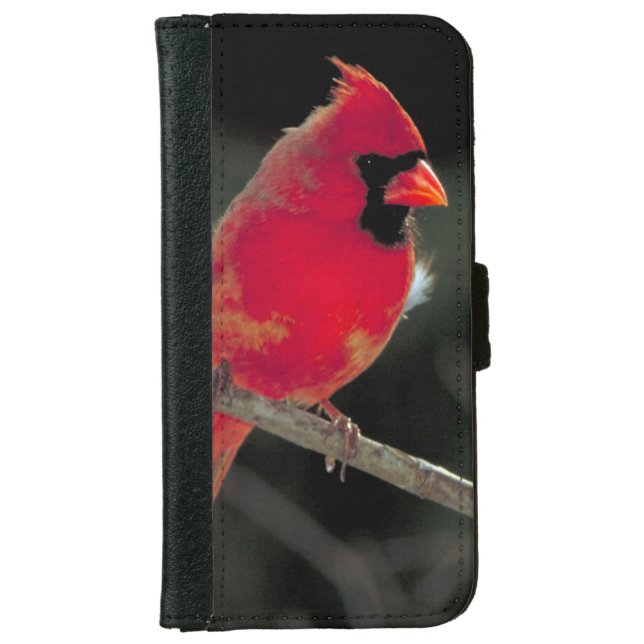 Red Cardinal Perched on a Tree Branch iPhone Wallet Case (Front)