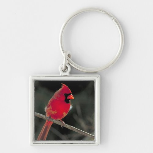Red Cardinal Perched on a Tree Branch Keychain