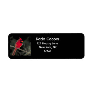 Red Cardinal Perched on a Tree Branch Label