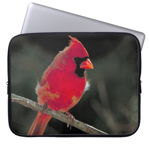Red Cardinal Perched on a Tree Branch Laptop Sleeve