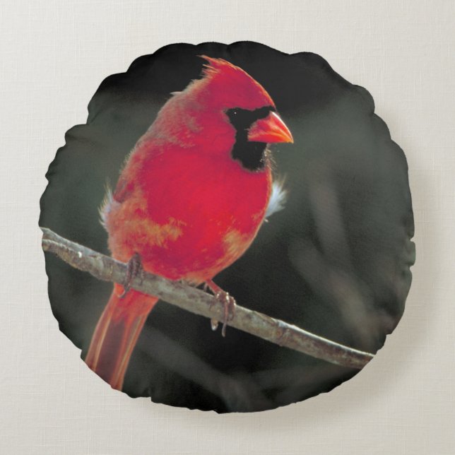 Red Cardinal Perched on a Tree Branch Round Pillow (Front)