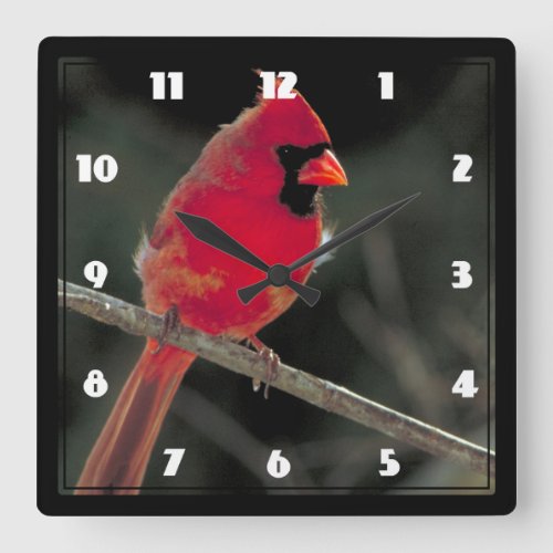 Red Cardinal Perched on a Tree Branch Square Wall Clock