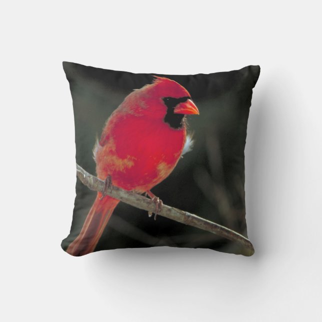 Red Cardinal Perched on a Tree Branch Throw Pillow (Front)