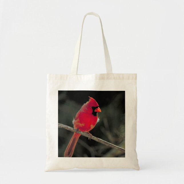 Red Cardinal Perched on a Tree Branch Tote Bag (Front)