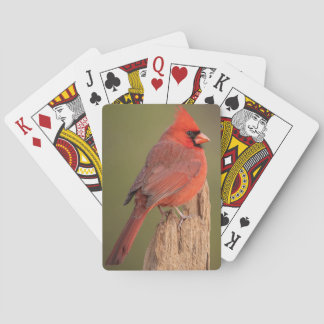 Red Cardinal  Poker Cards