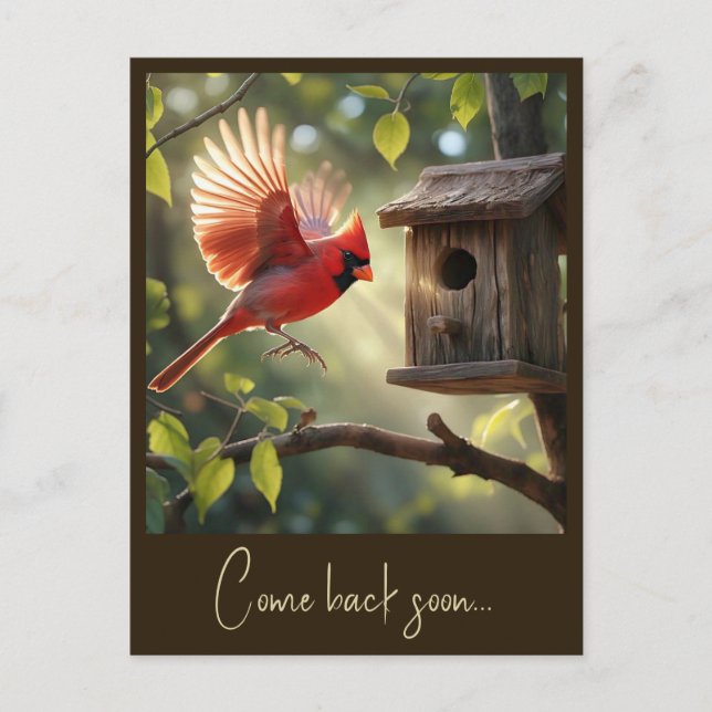 " RED CARDINAL " POSTCARD (Front)