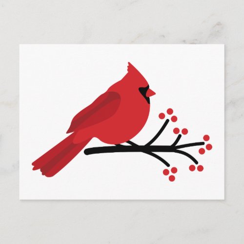 Red Cardinal Postcard