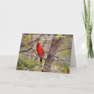 Red Cardinal Scripture Card Psalm 119:64