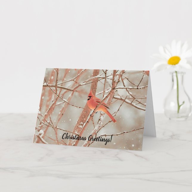 Red Cardinal Snow Bird Art Christmas Holiday Card (Small Plant)
