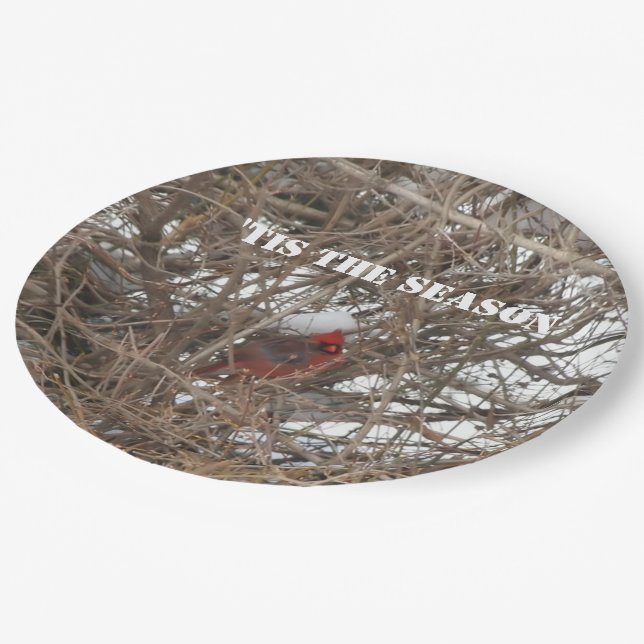 Red Cardinal Snow Branches Paper Plates (Angled)