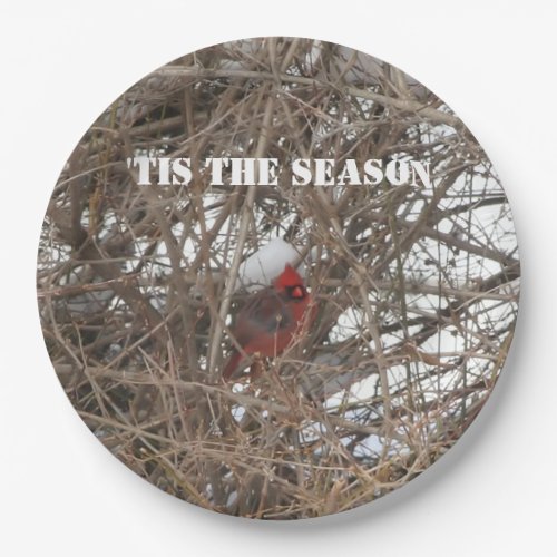 Red Cardinal Snow Branches Paper Plates