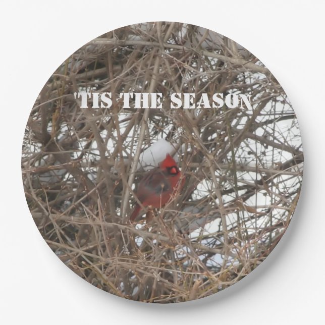 Red Cardinal Snow Branches Paper Plates (Front)