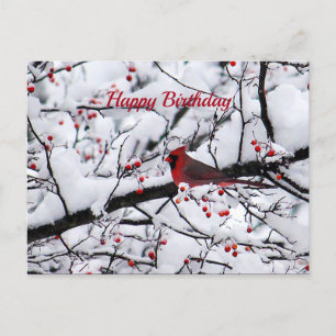 Red Cardinal Snow Tree Photo Birthday Postcard