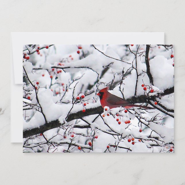 Red Cardinal Snow Tree Photo Christmas Flat Holiday Card (Front)