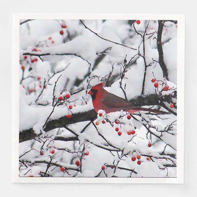 Red Cardinal Snow Tree Photo Paper Dinner Napkins (Front)