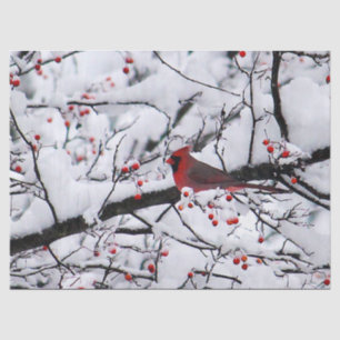 Red Cardinal Snow Tree Photo Tissue Paper