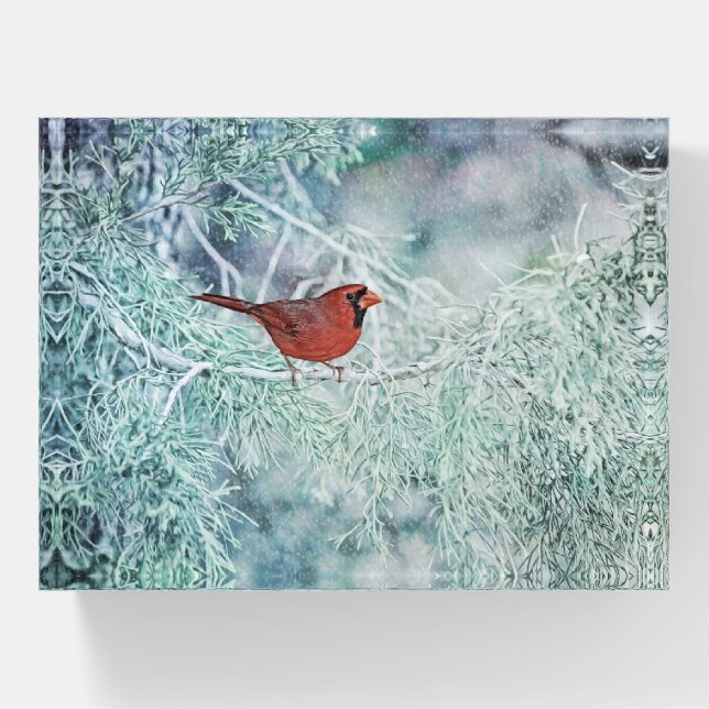 Red Cardinal Snowy Branch Art Glass Paperweight (Front)