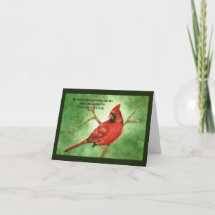 Red Cardinal Sympathy Card