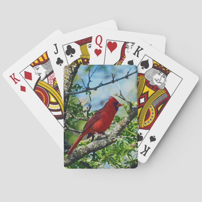 Red Cardinal Wild Bird Poker Cards (Back)