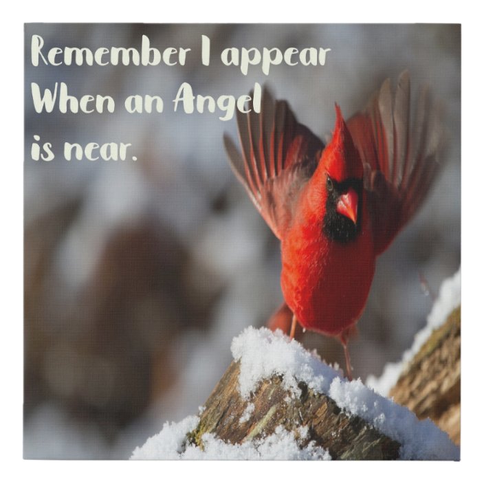 Red Cardinal will appear when an Angel is near Faux Canvas Print