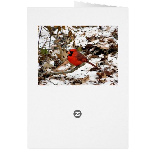 Red Cardinal Winter Card (Back)