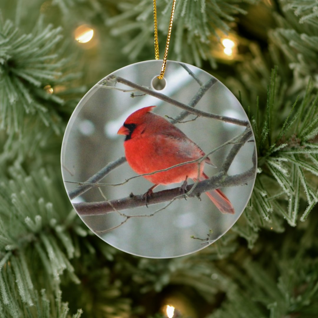 Red Cardinal Winter Ornament Zazzle   Red Cardinal Winter Ornament Rb0cd67e5c3494ab19d368e9664cea2b0 05wi1 8byvr 1080 