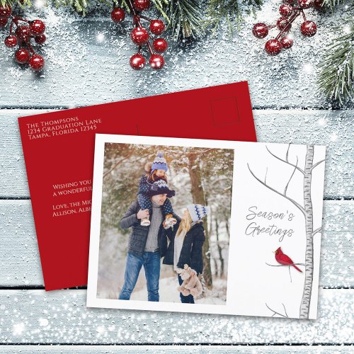 Red Cardinal Woodland Winter Tree Multi One Photo Holiday Postcard