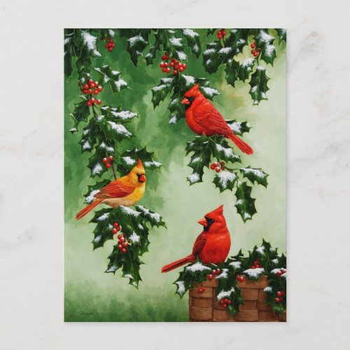 Red Cardinals and Christmas Holly Holiday Postcard