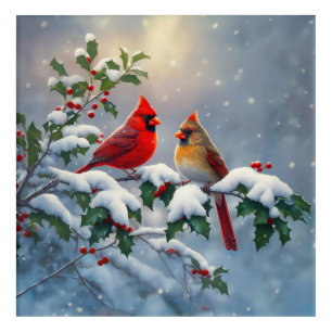 Red Cardinals and Holly in Snow Acrylic Print