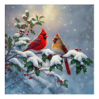 Red Cardinals and Holly in Snow Acrylic Print