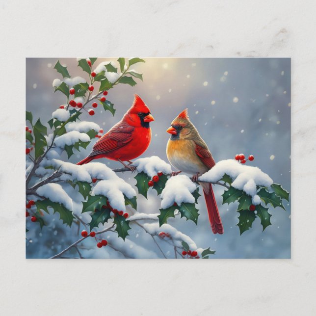 Red Cardinals and Holly in Snow Postcard (Front)