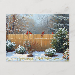Red Cardinals on the Wooden Backyard Fence Postcard