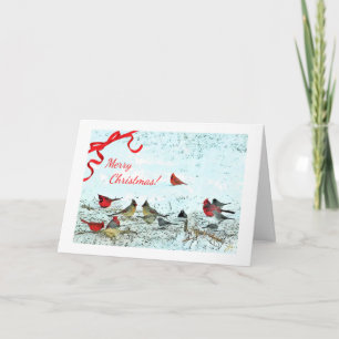 Red Cardinals, Symbol Of Christmas Holiday Card