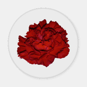 Red Carnation Coaster Set